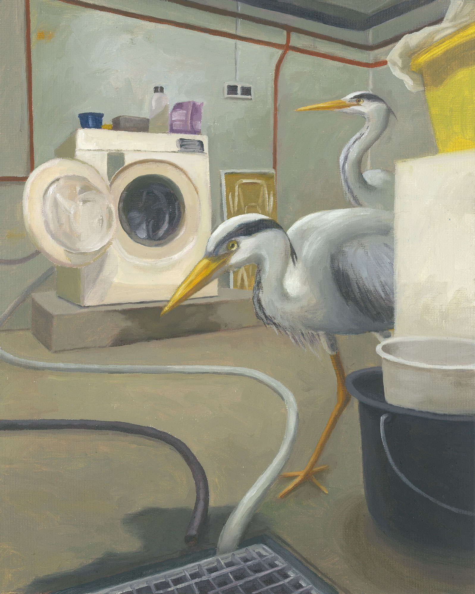 misplaced herons – Bild 2
