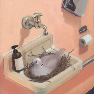 misplaced pigeon rosacryl
