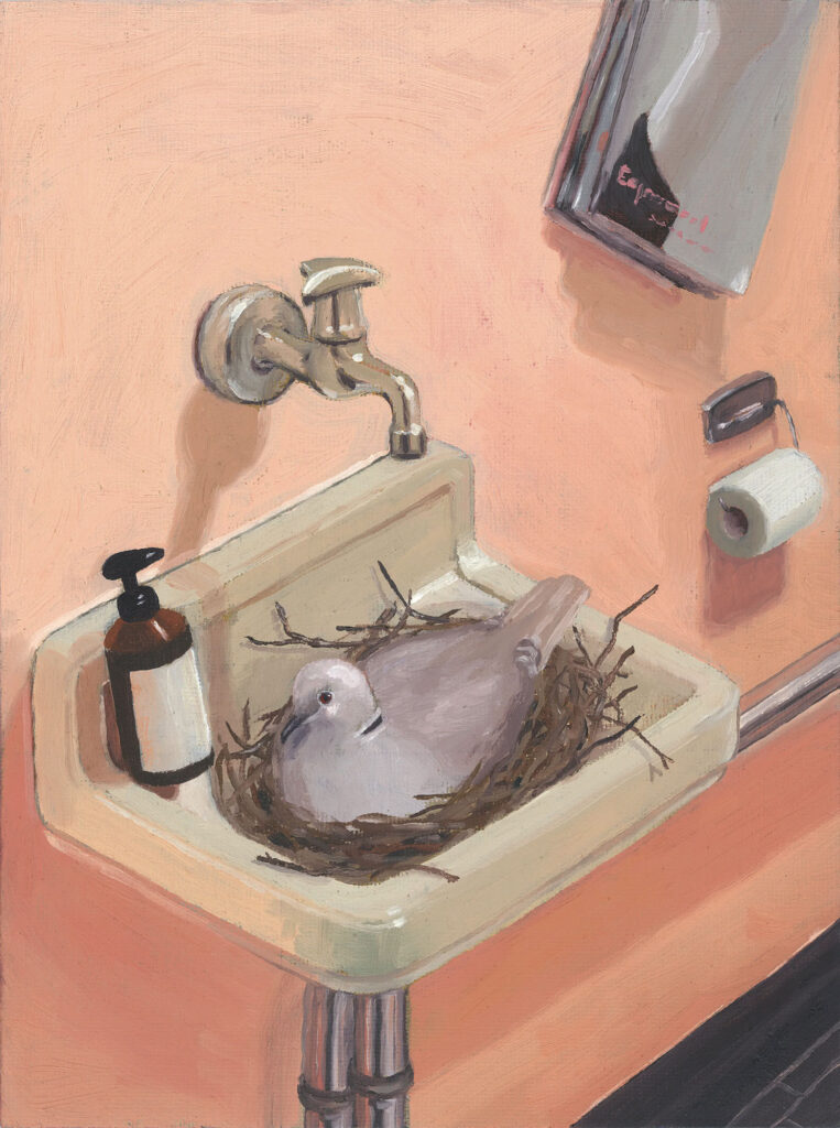 misplaced pigeon rosacryl