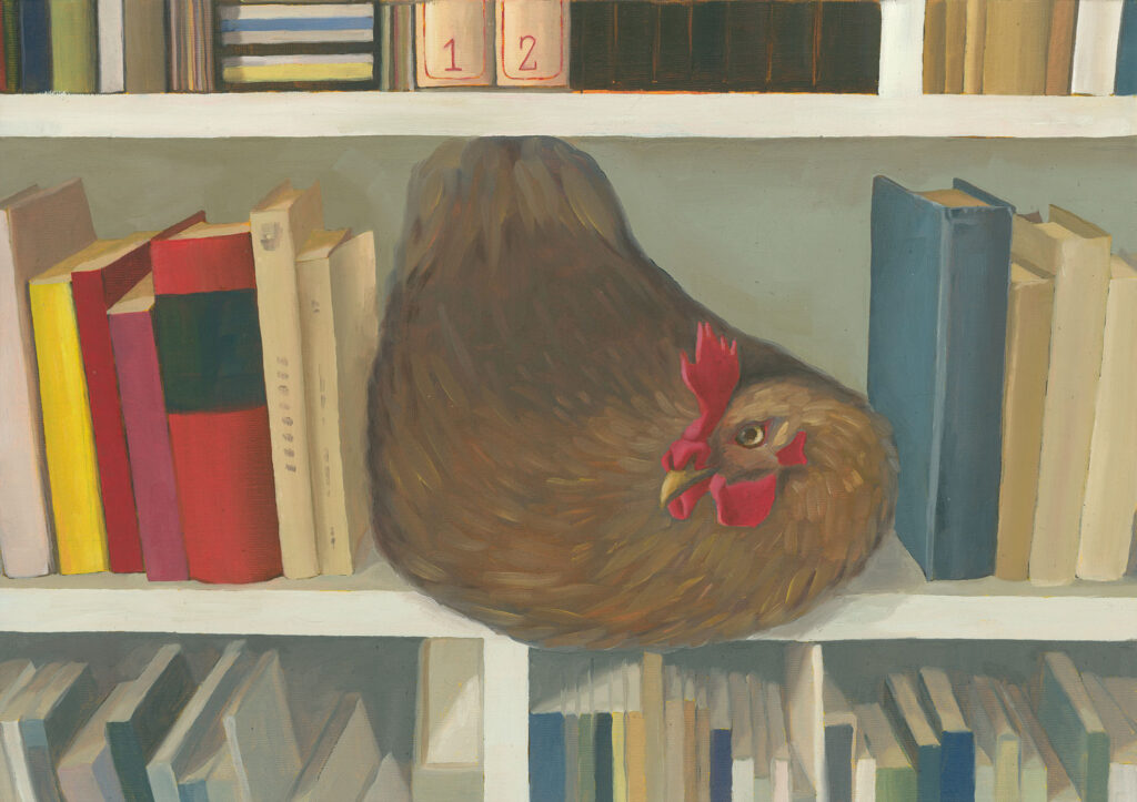 misplaced hen