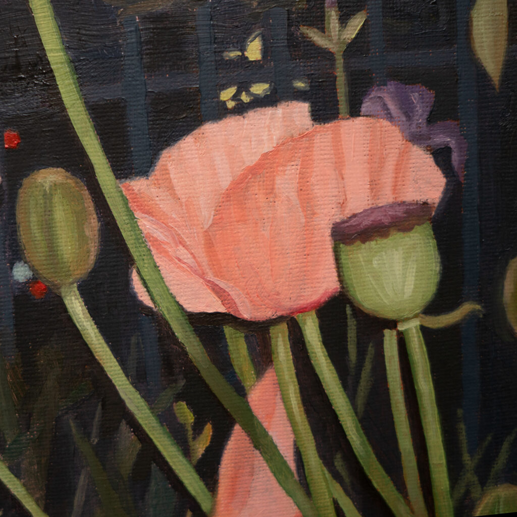 rosacryl.com - papaver orientale detail 2